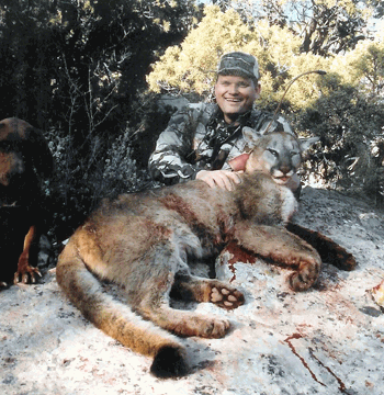 Utah cougar hunts behind well-trained hound dogs