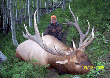 Trophy bull elk hunts in Utah