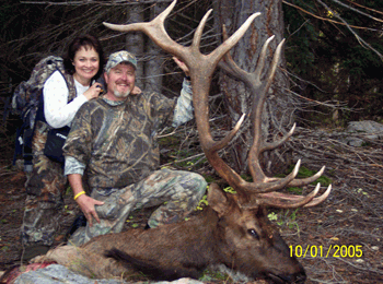 Trophy bull elk hunts in Utah