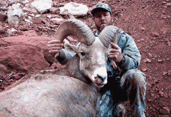 Bighorn sheep hunting in Utah